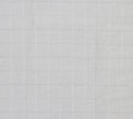 Elmore Check Silver (Laura Ashley)