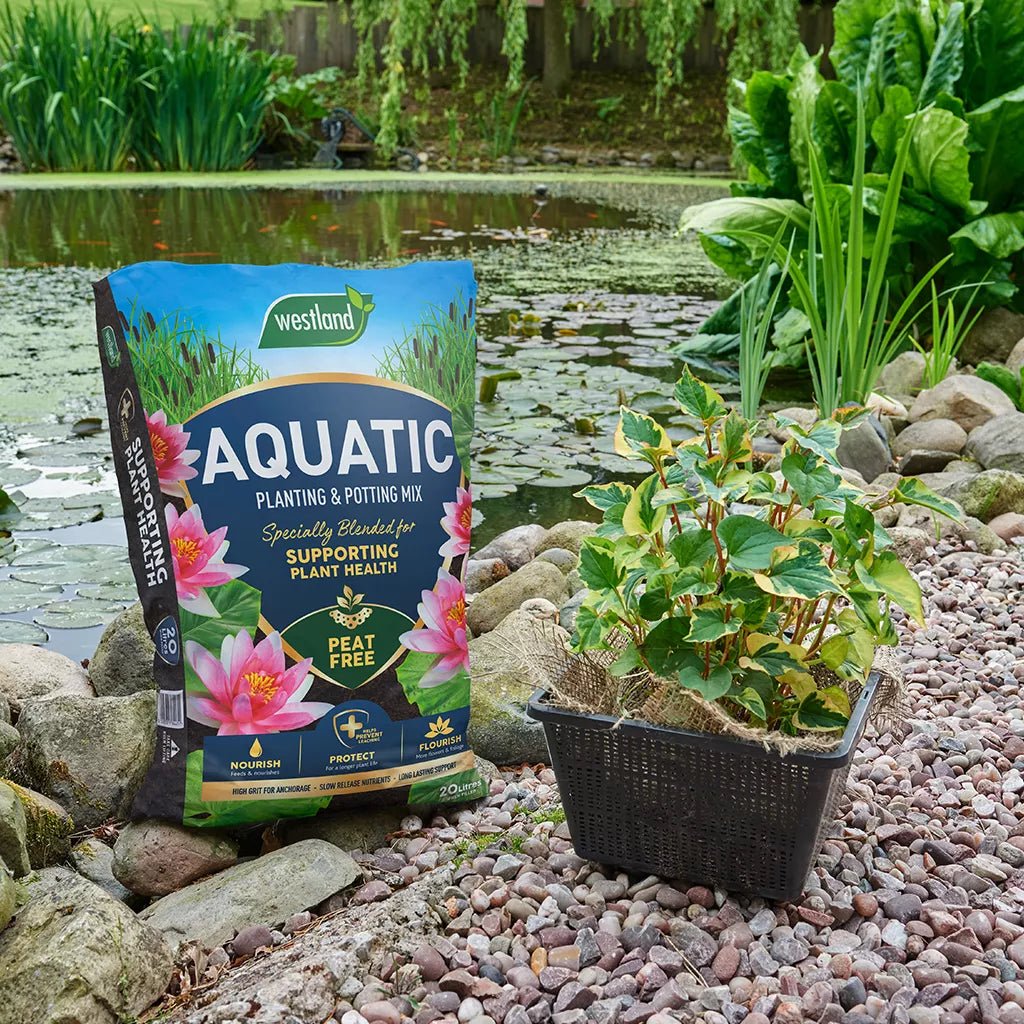 Westland Aquatic Compost 20L