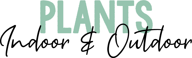Plants - Indoor and Outdoor heading