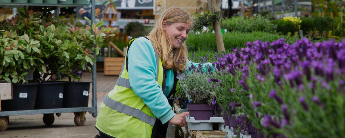 Plants image with happy worked in the centre