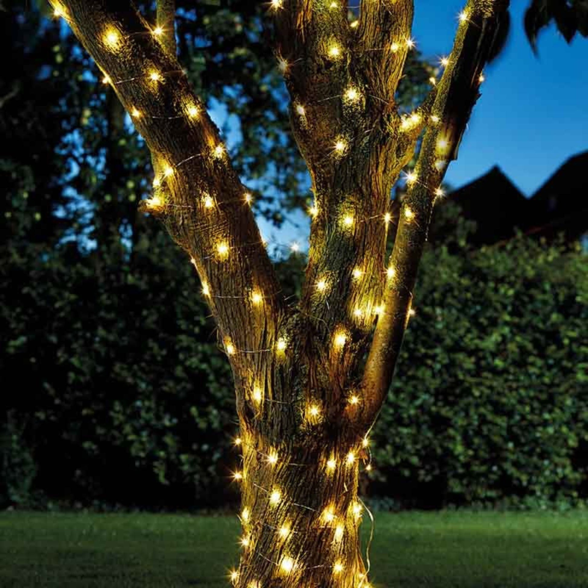 Firefly String Lights - 50 ww LEDs