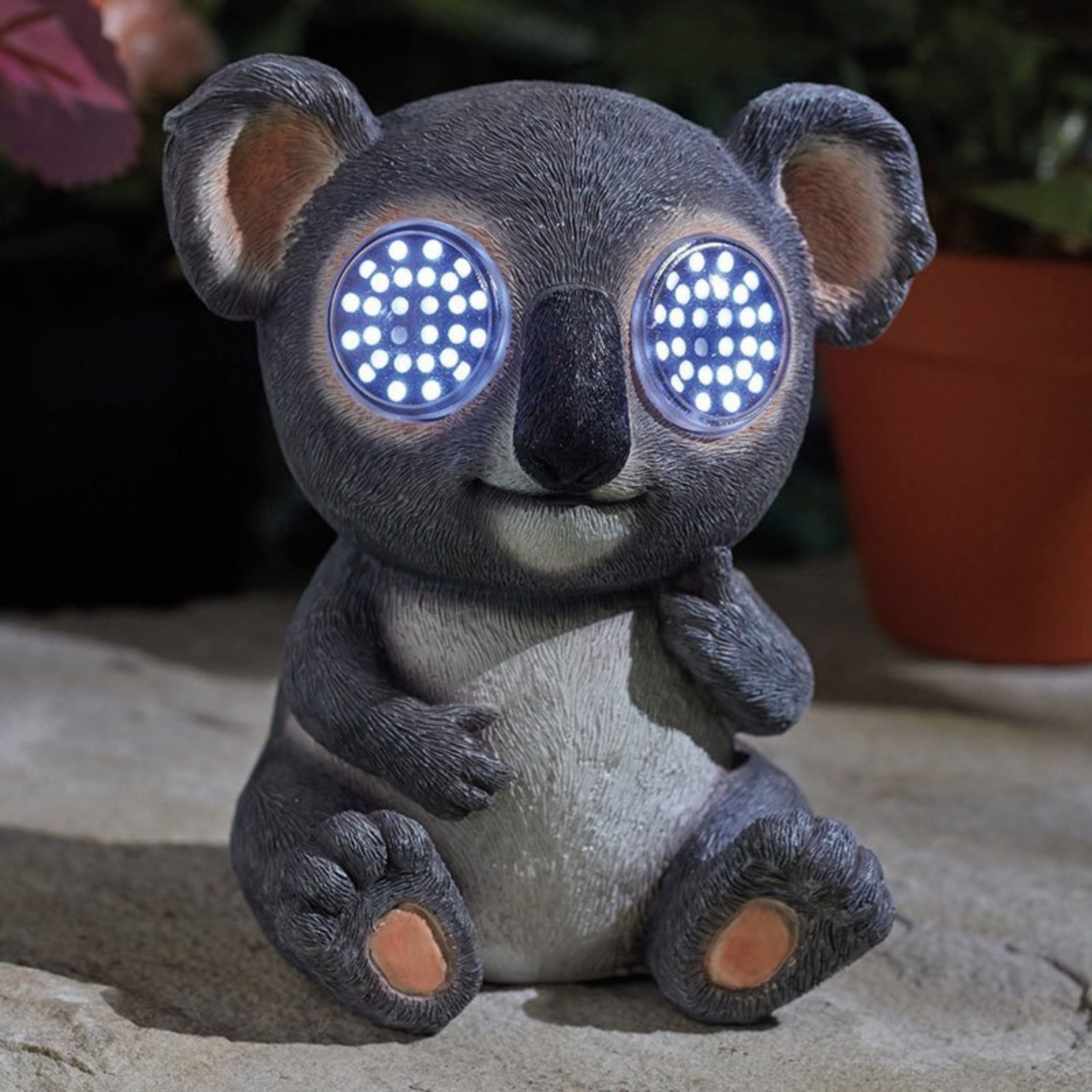 Blinkin' Koala