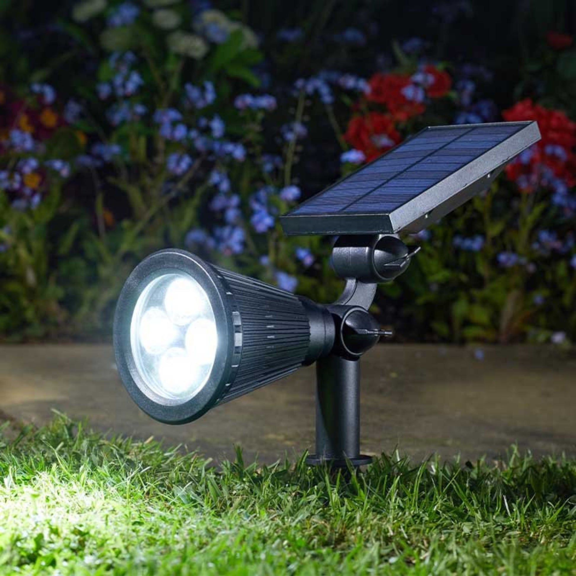 Lumi Spotlight 70L
