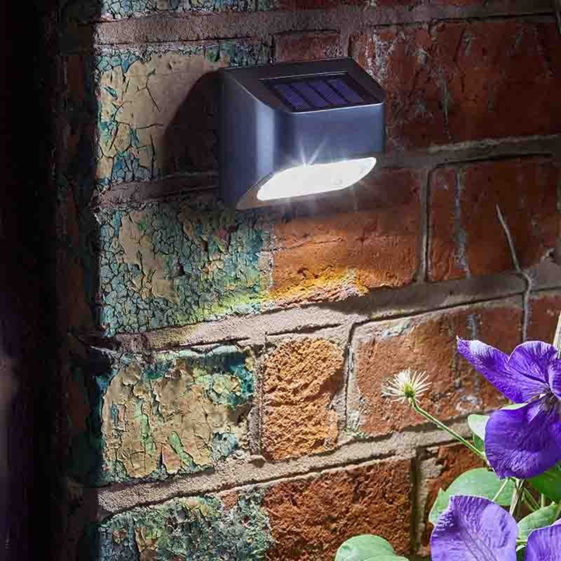 Premier Fence Wall & Post Light