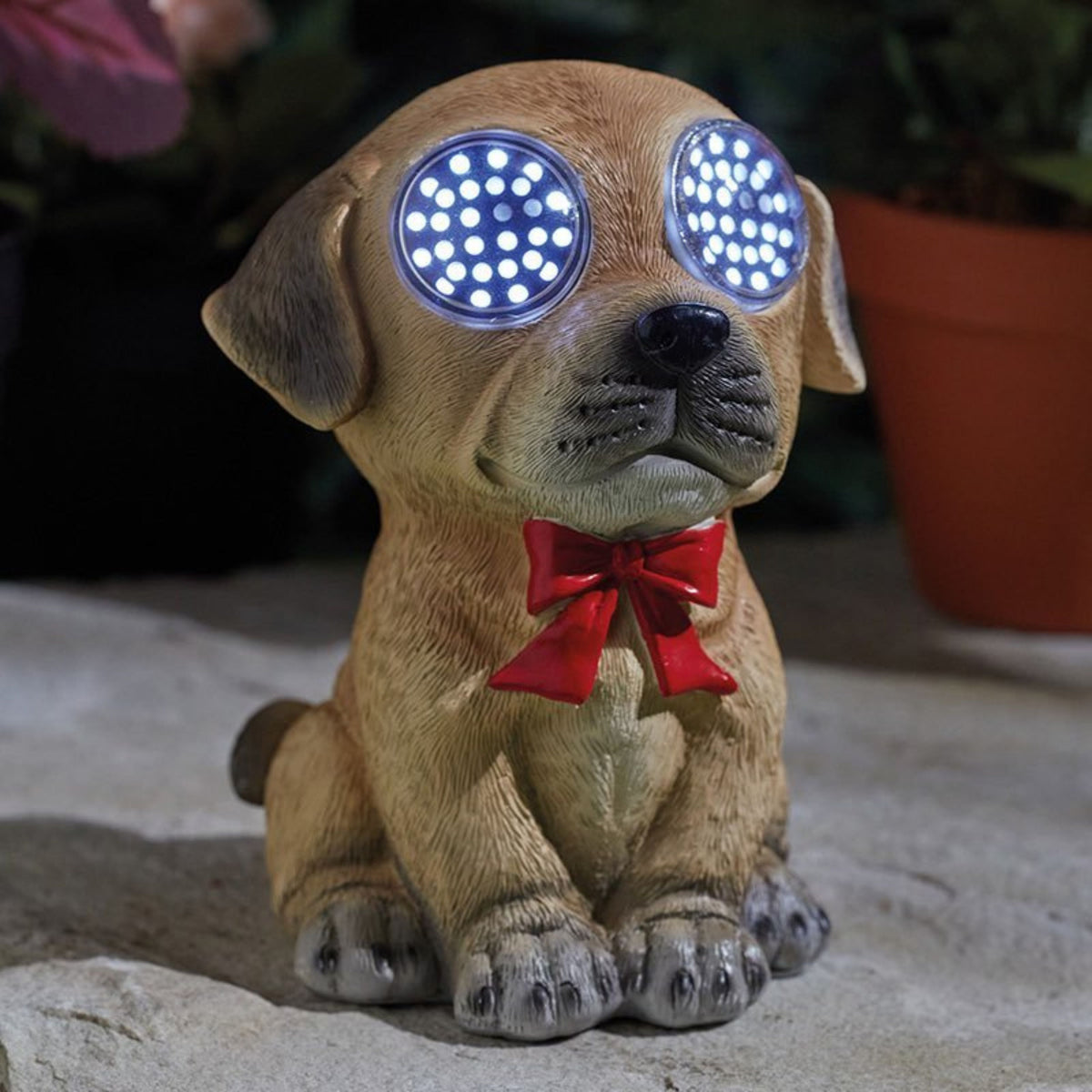 Blinkin Dog
