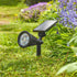 Lumi Spotlight 70L
