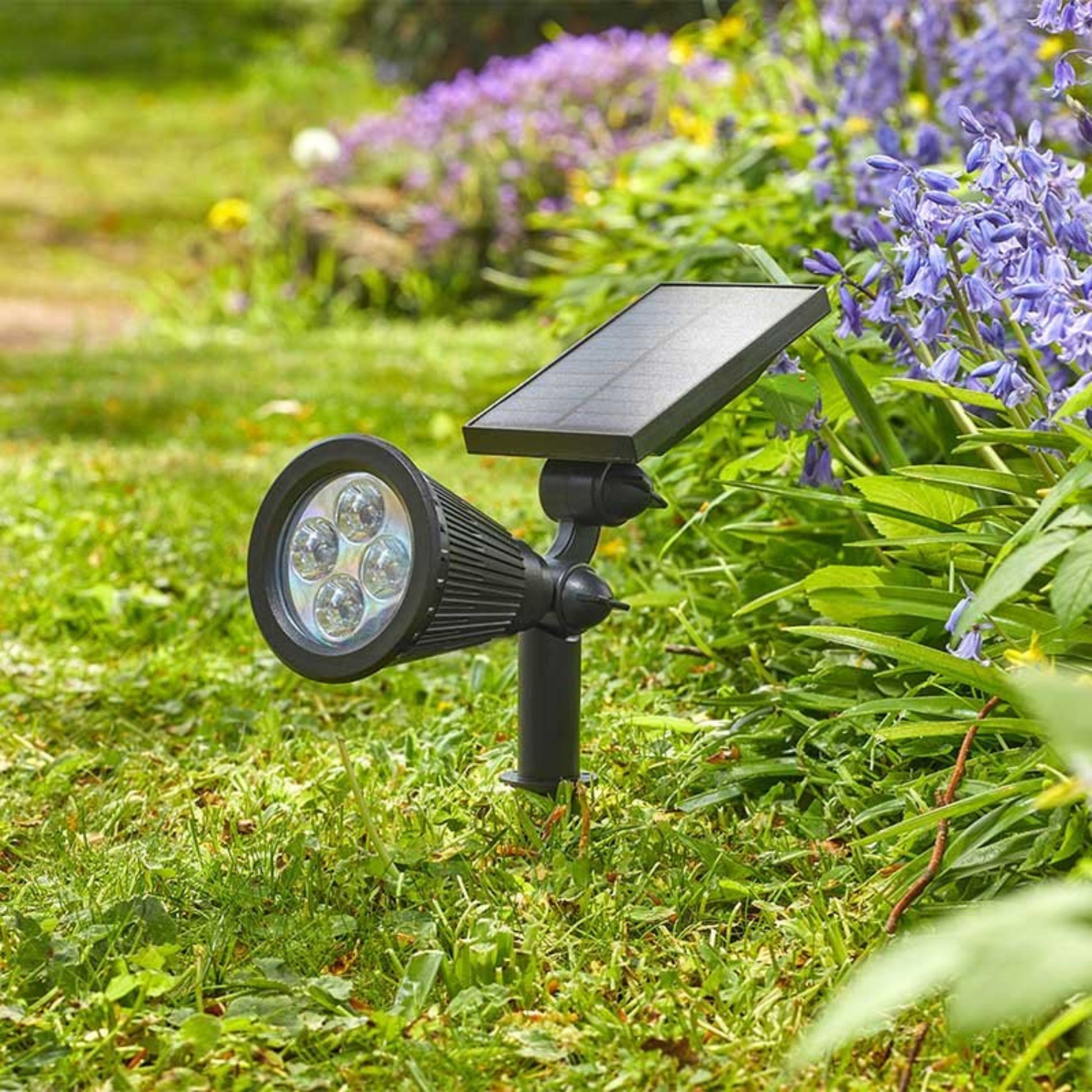 Lumi Spotlight 70L