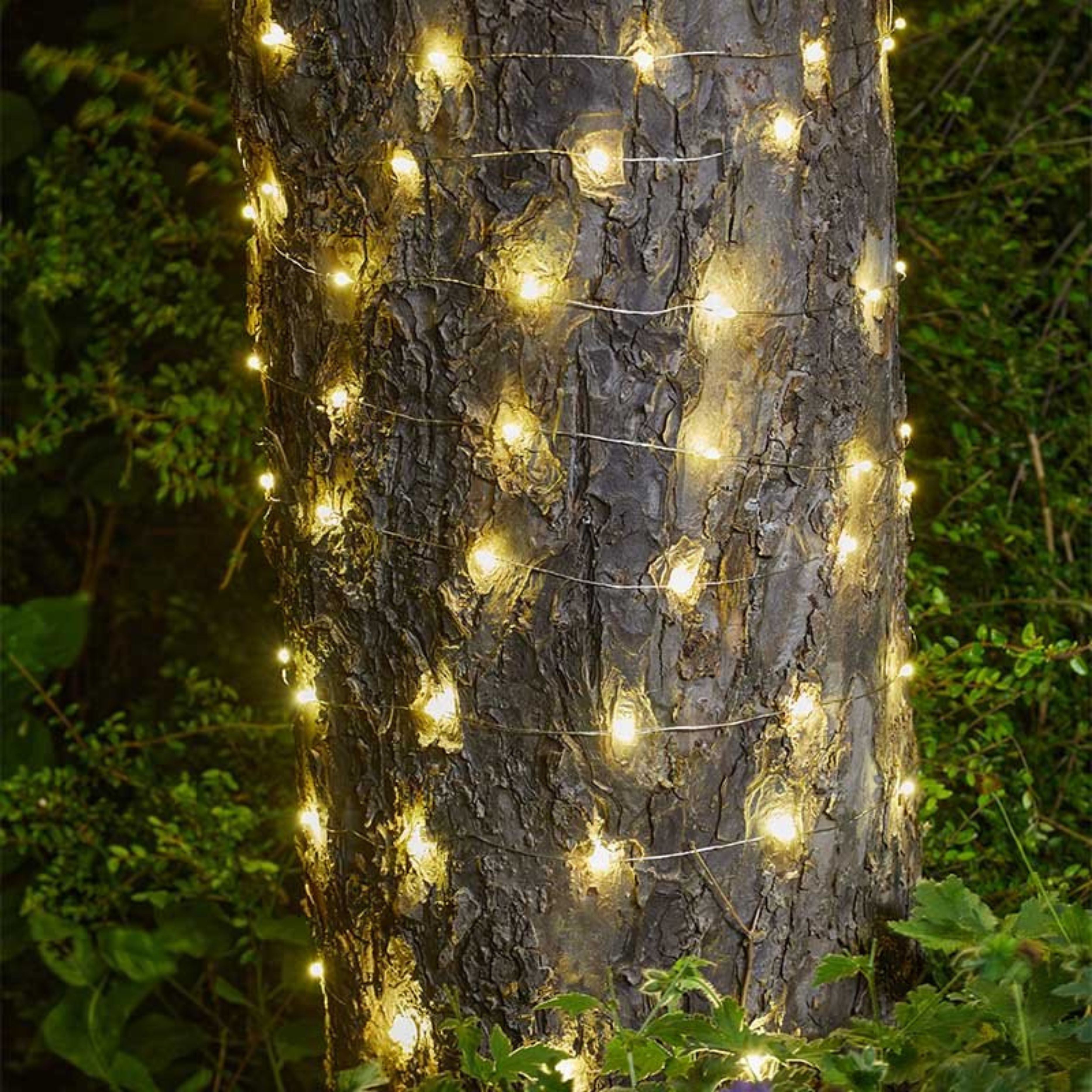 Ultra Solar Firefly String Lights 100 15L