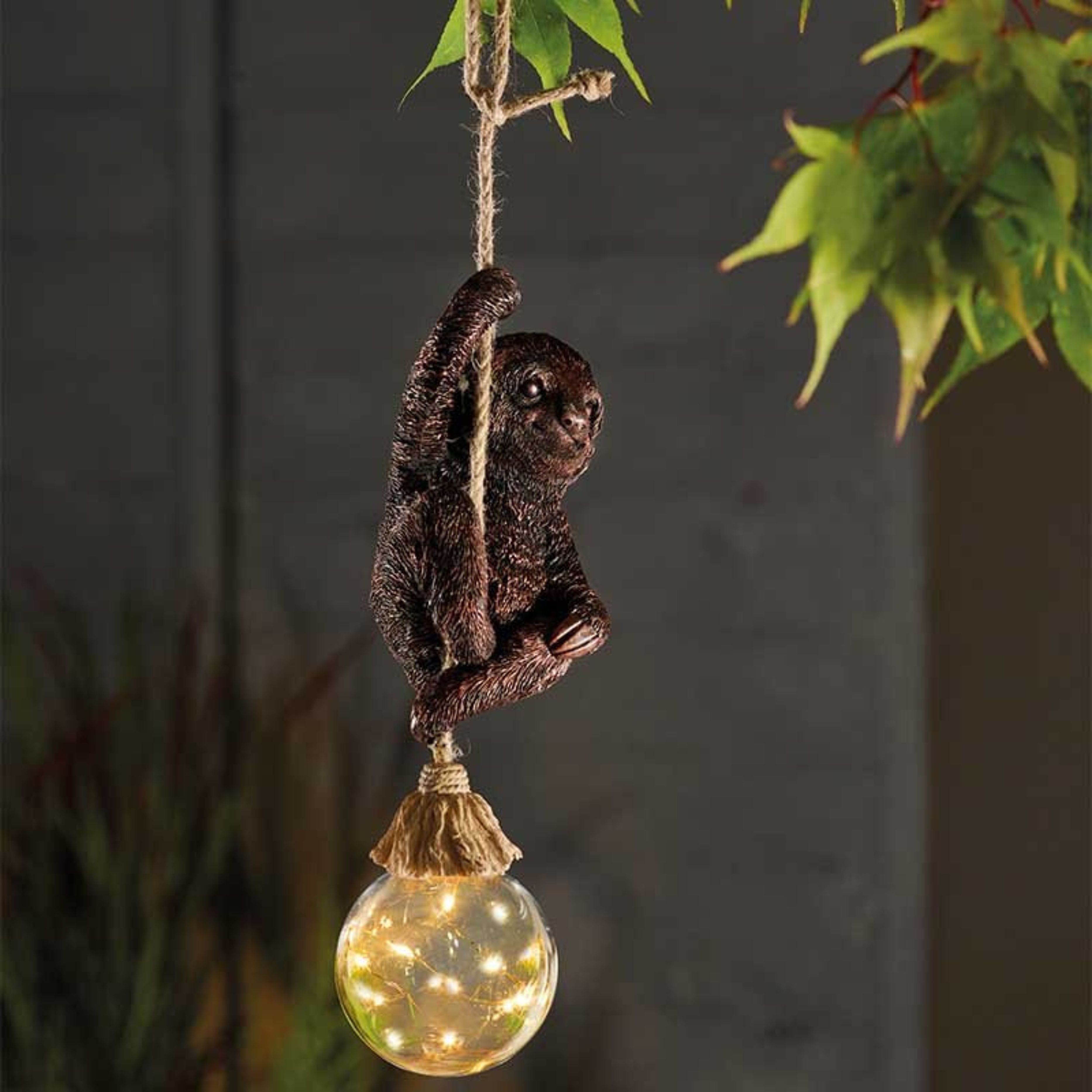 Swingin Sloth!