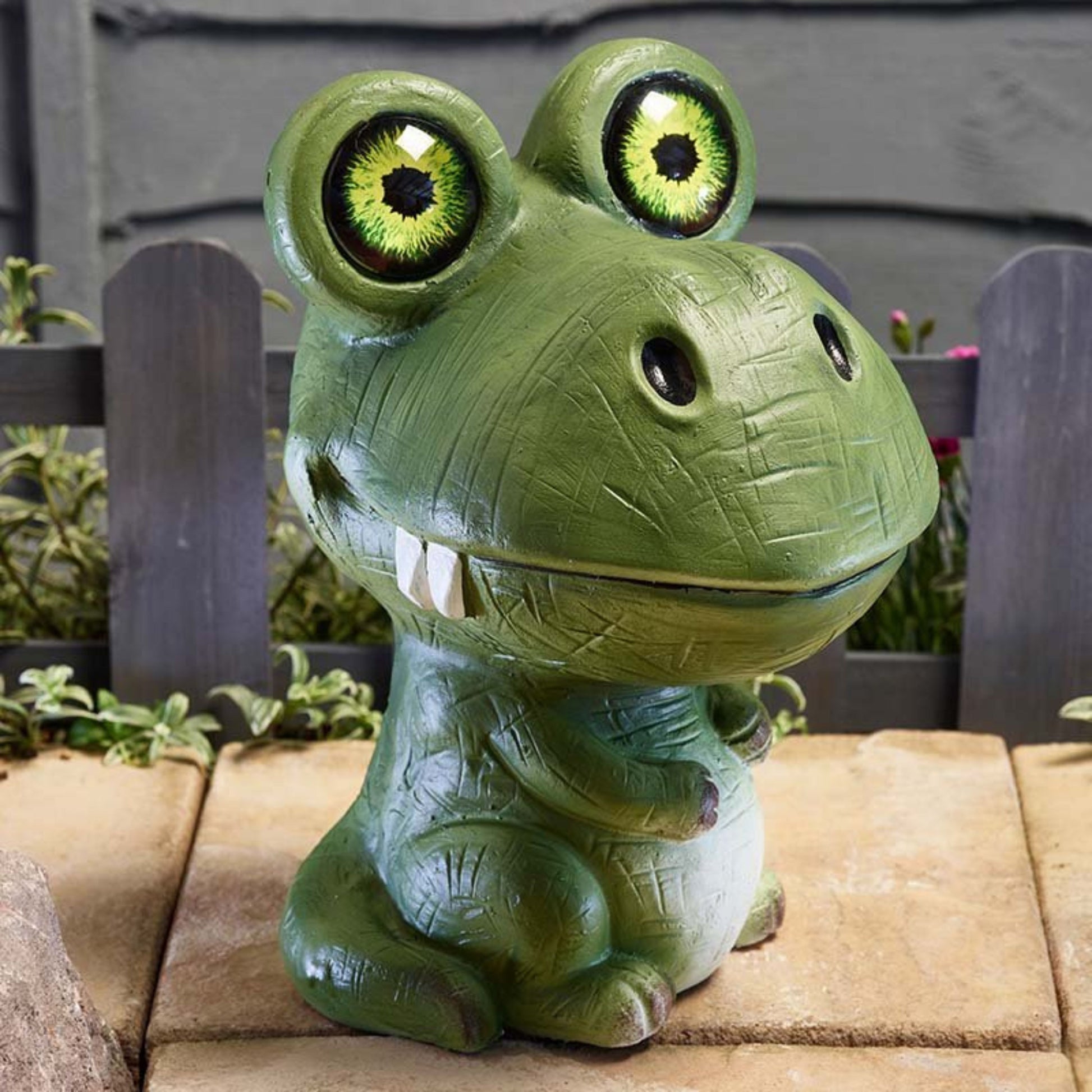 Croc Eyes