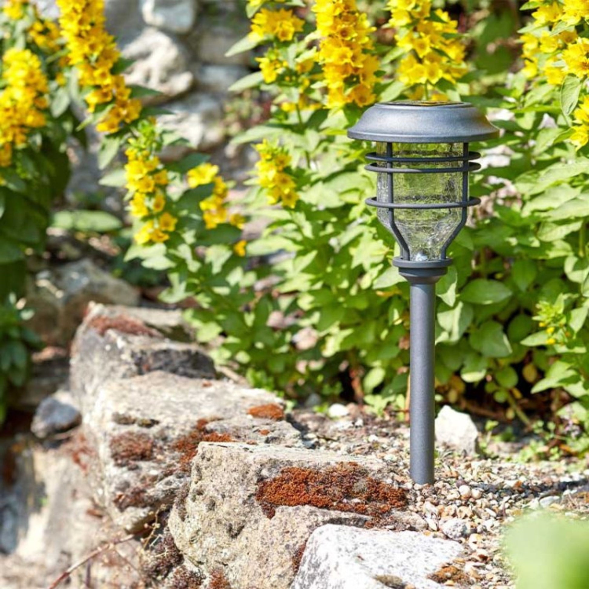 Capri Stake Light 10L