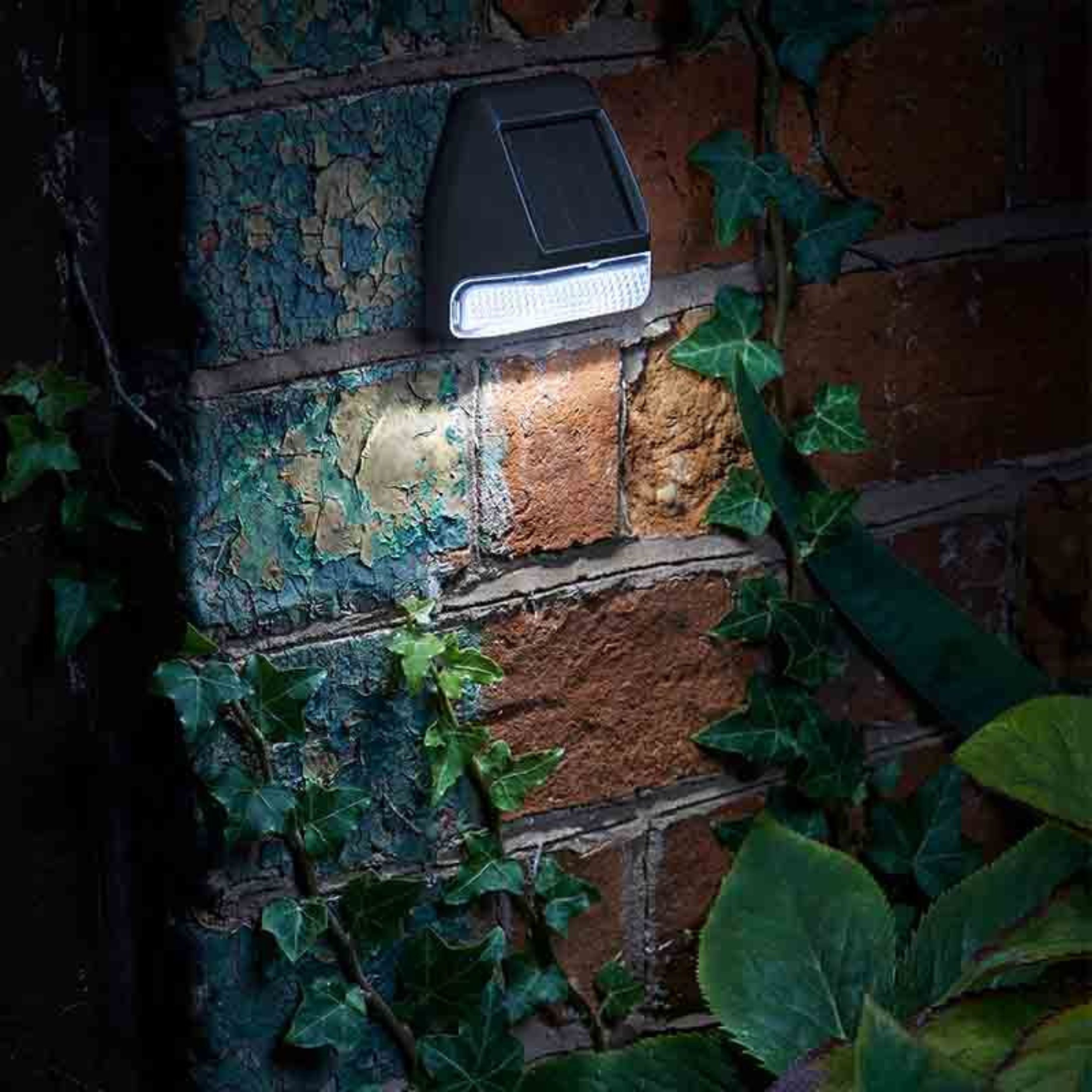 Wall, Fence, Post Light 4pk 3L