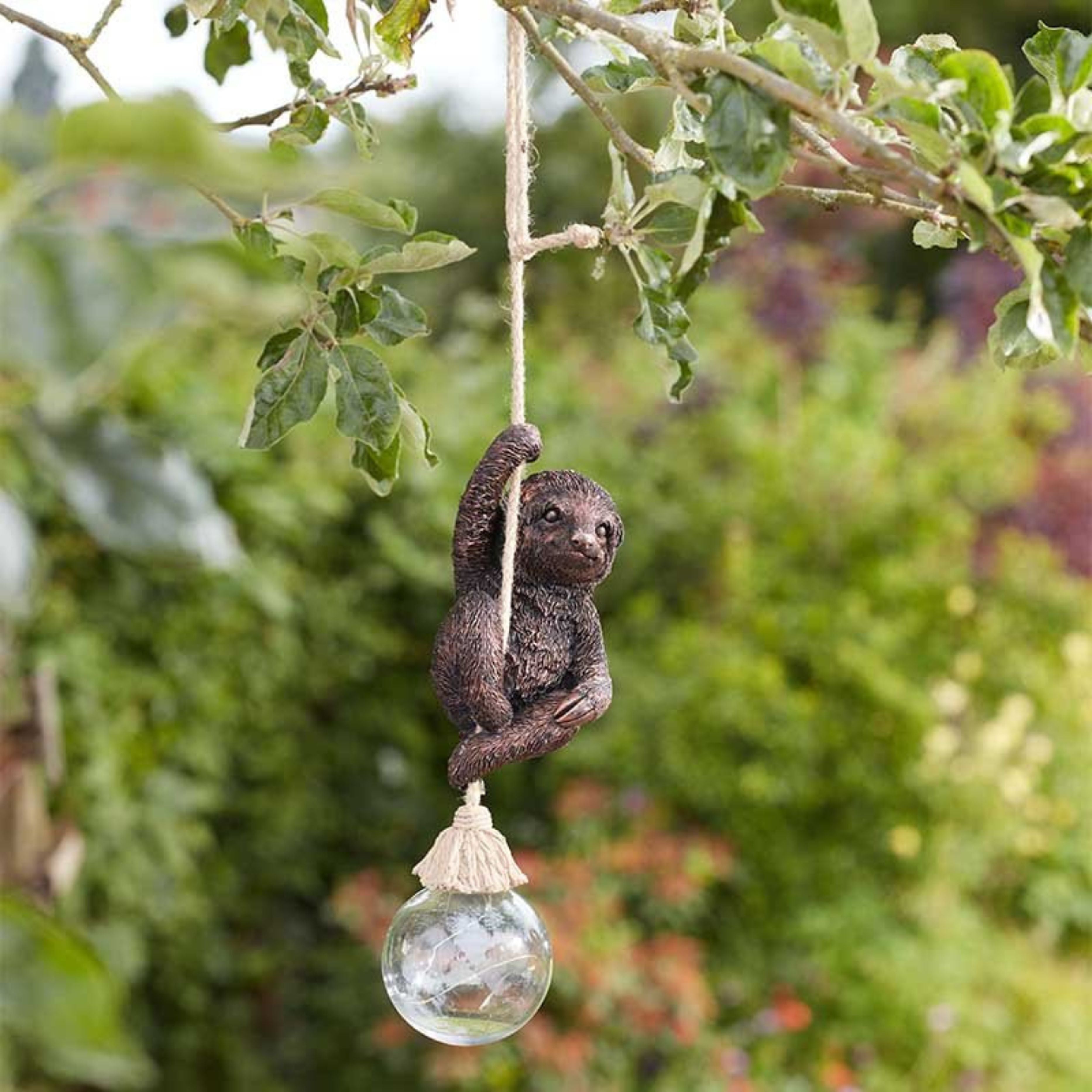 Swingin Sloth!