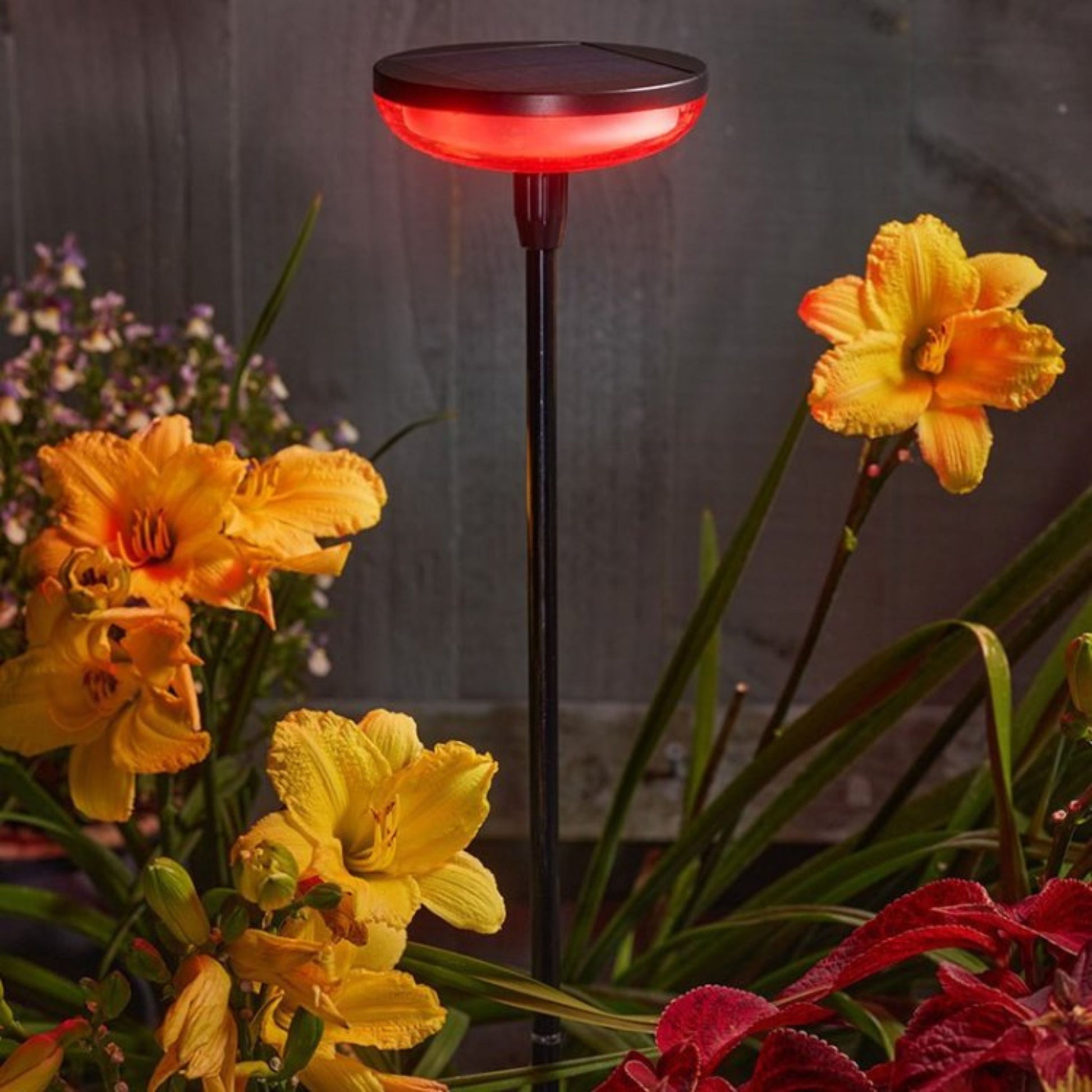Hygge Stake Colour Changing