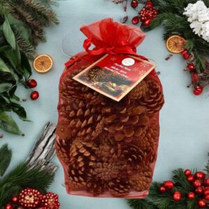 Scented Pine Cones