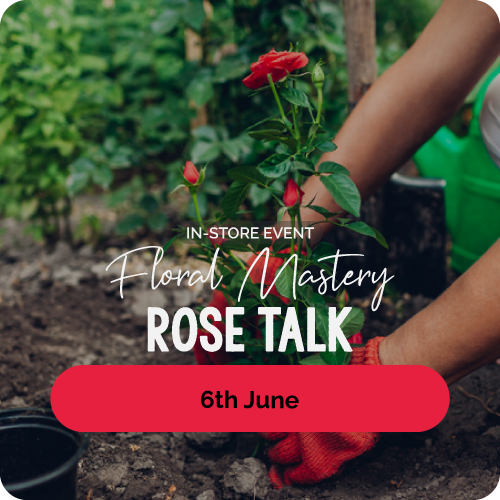 Chessington Garden Centre Rose Talk