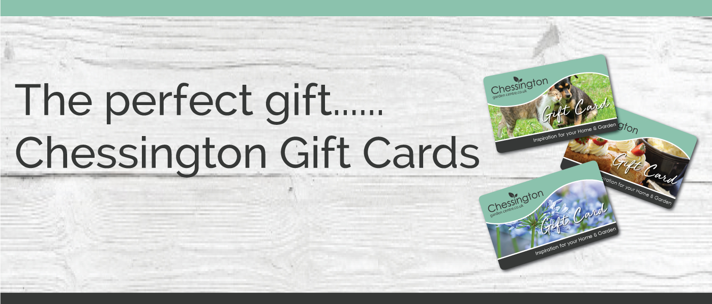 Gift Cards Vouchers