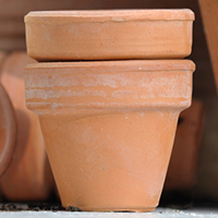 Pots and Planters
