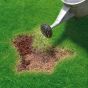 Miracle-Gro Patch Magic Grass Seed, Feed & Coir 3.6Kg
