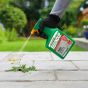 Roundup Ready to Use Path Weedkiller 1L