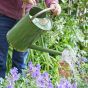 Sage Green Watering Can 9L