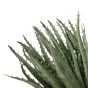 ENJOi Aloe Green Indoor Artificial Plant 27cm