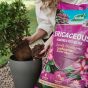Westland Ericaceous Planting & Potting Mix 50L