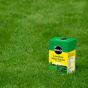 Miracle-Gro Water Soluble Lawn Food 1Kg
