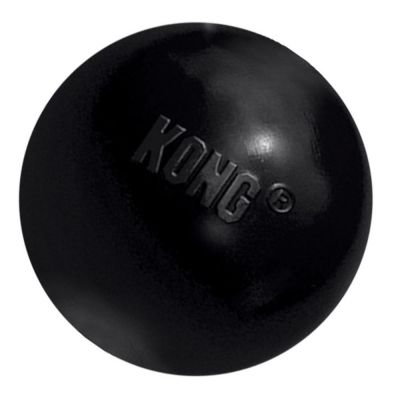 KONG Extreme Dog Ball