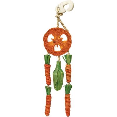 Rosewood Carrot Dream Catcher Toy