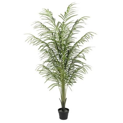 ENJOi Areca Palm Tree  Indoor Artificial Plant 180cm