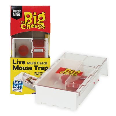 The Big Cheese Live Multi-Catch Mouse Trap