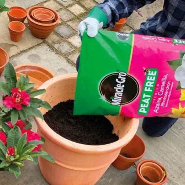 Miracle Gro Ericaceous Peat Free 40L