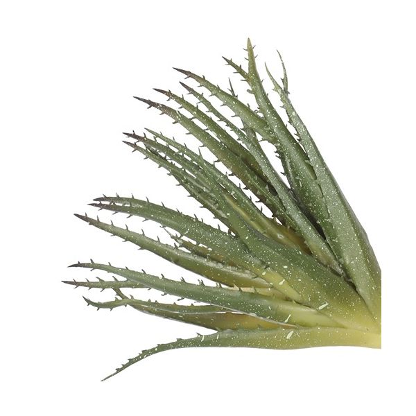 ENJOi Aloe Green Indoor Artificial Plant 27cm