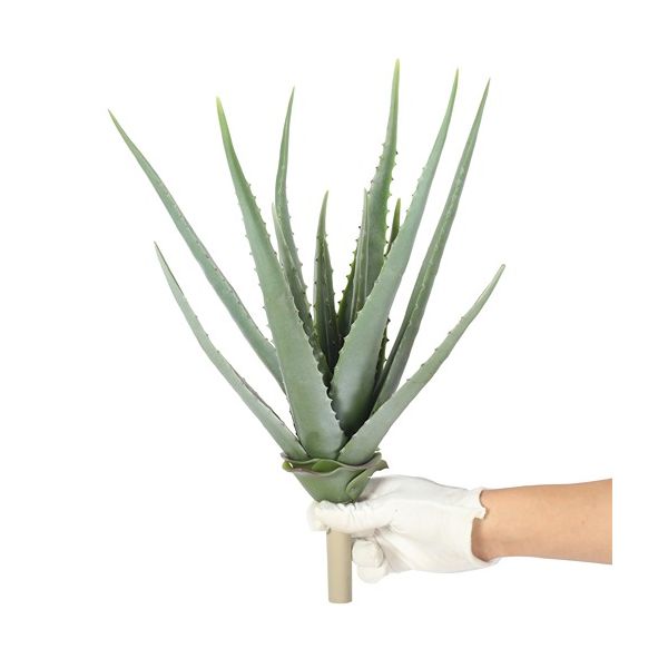 ENJOi Aloe Middle Green Indoor Artificial Plant 43cm