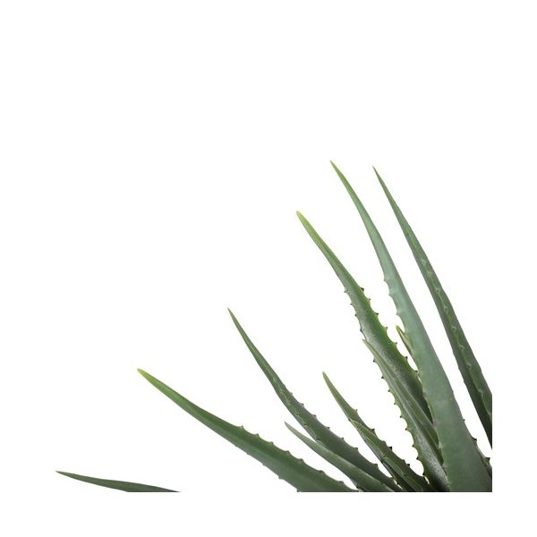 ENJOi Aloe Middle Green Indoor Artificial Plant 43cm