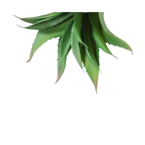 ENJOi Thorn Lotus Big Green Indoor Artificial Plant 25cm