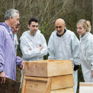 Learn how to become a beekeeper