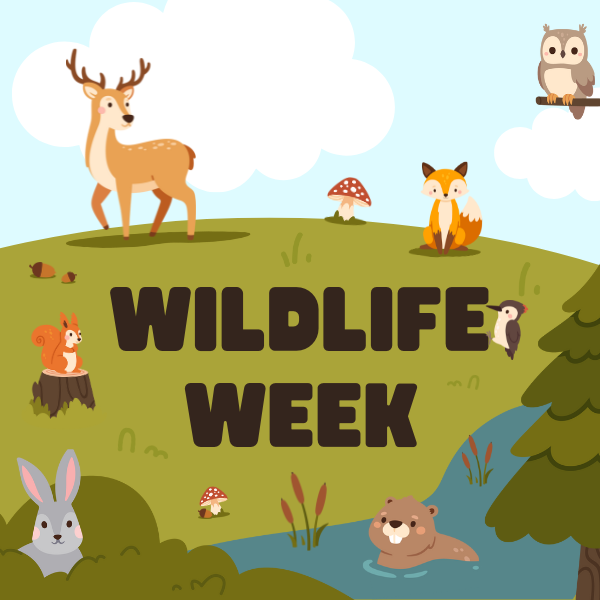 Wildlife Week 2024